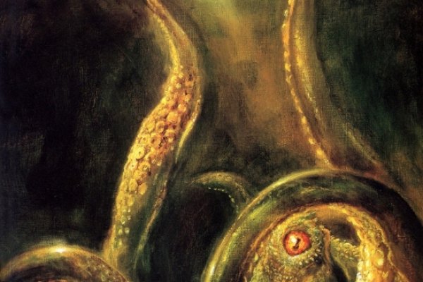 Https kraken at