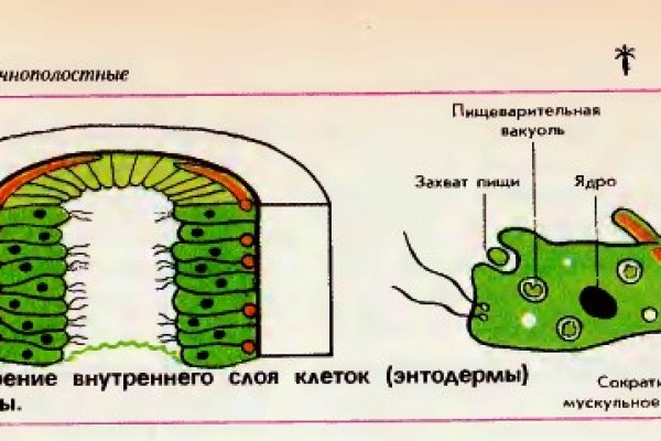 Кракен даркнет kraken014 com