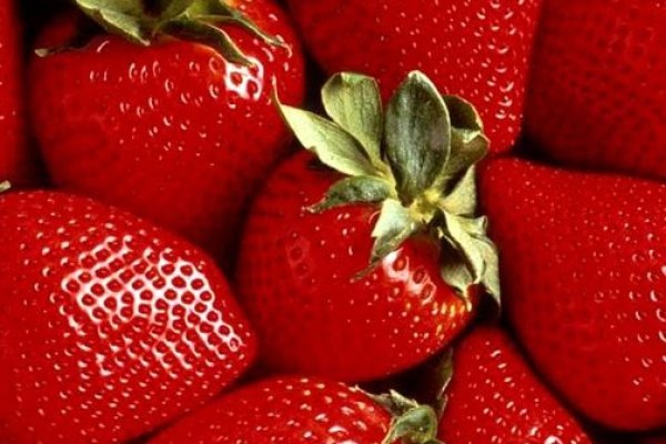 Как восстановить аккаунт кракен