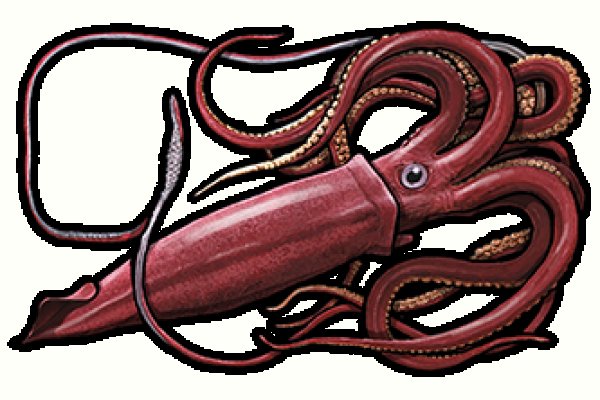 Kraken 15 at